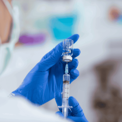 immunisation (2)